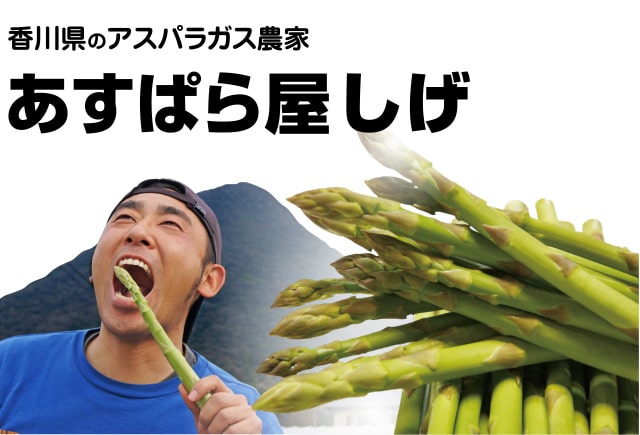香川県のアスパラガス農家あすぱら屋しげ